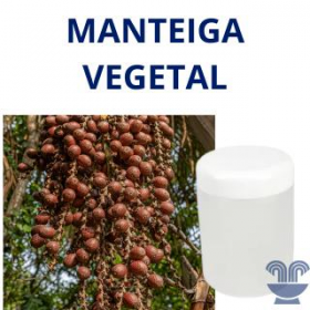 MANTEIGA DE BURITI 100GR - UNID