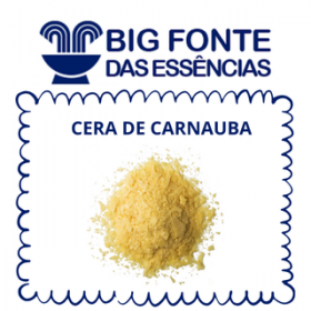 CERA DE CARNAUBA - 100G