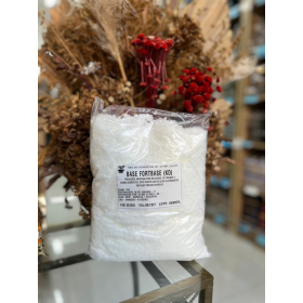 BASE FORTBASE NF (KD) - 1KG